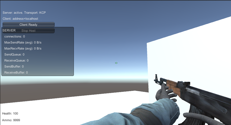 Multiplayer FPS Unity